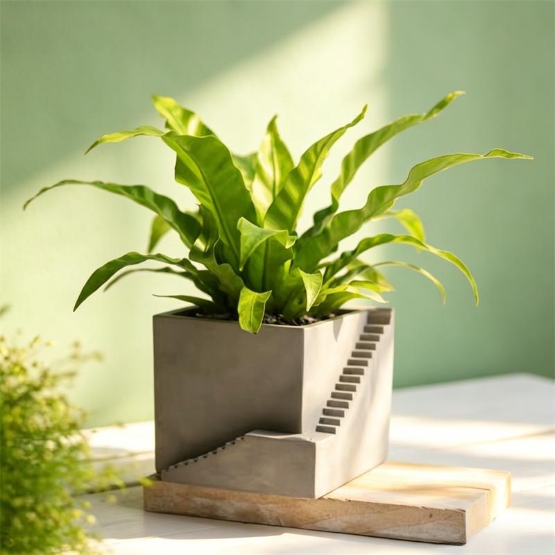 Scale quadrate Forma Piante gr - Tagine Clay Pot recensione e prezzo