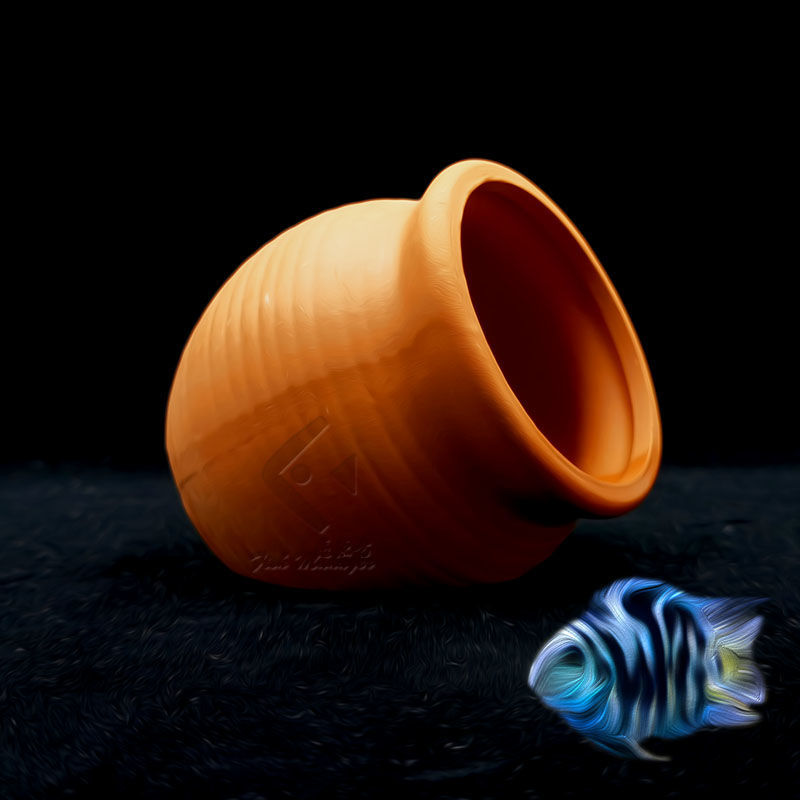 Acquario Mini Serbatoio in cer - Tagine Clay Pot recensione e prezzo